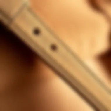 Texture Detail of Suede Belt Close-up of the texture of a suede belt