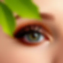 Elegant coffee-toned eyeshadow application