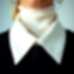 Close-up of a pristine collar showcasing cleanliness