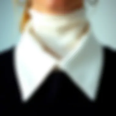 Pristine Collar Display Close-up of a pristine collar showcasing cleanliness