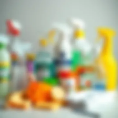 Essential Cleaning Materials Various cleaning materials arranged neatly