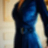 Elegant velvet dress showcasing intricate details