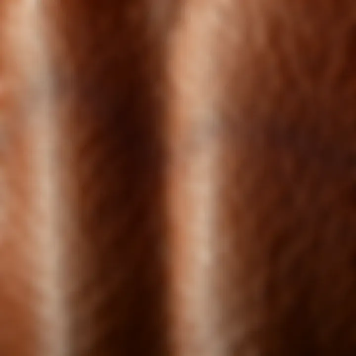 Close-up of the texture of high-quality brown leather.