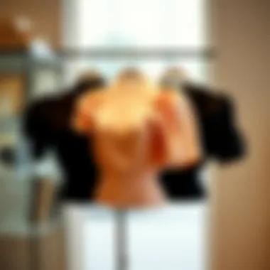 Different designs of thick-strapped blouses displayed elegantly.