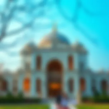 Elegant Kaz Tüyü Kaban Display