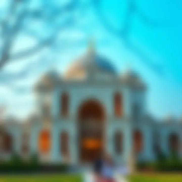 Elegant Kaz Tüyü Kaban Display