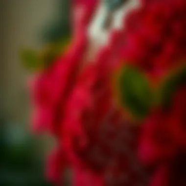 Close-up of intricate details on a red dress