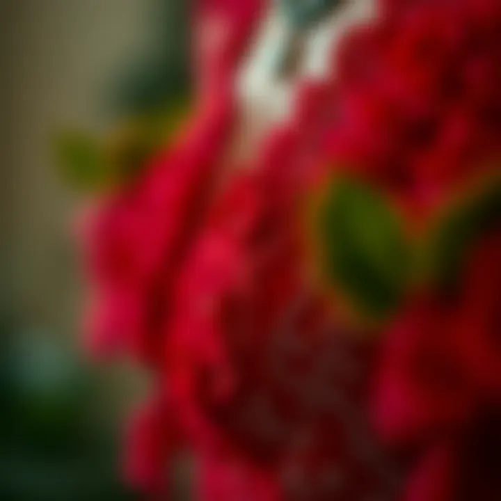 Close-up of intricate details on a red dress