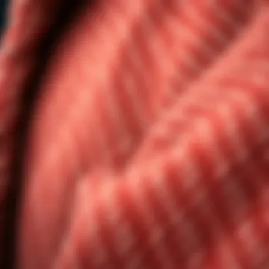 Close-up of high-quality fabric texture of a winter coat