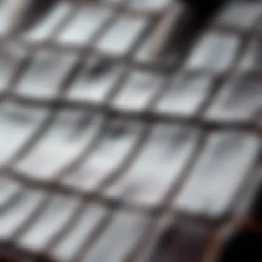 Close-up of crocodile texture on a luxury bag