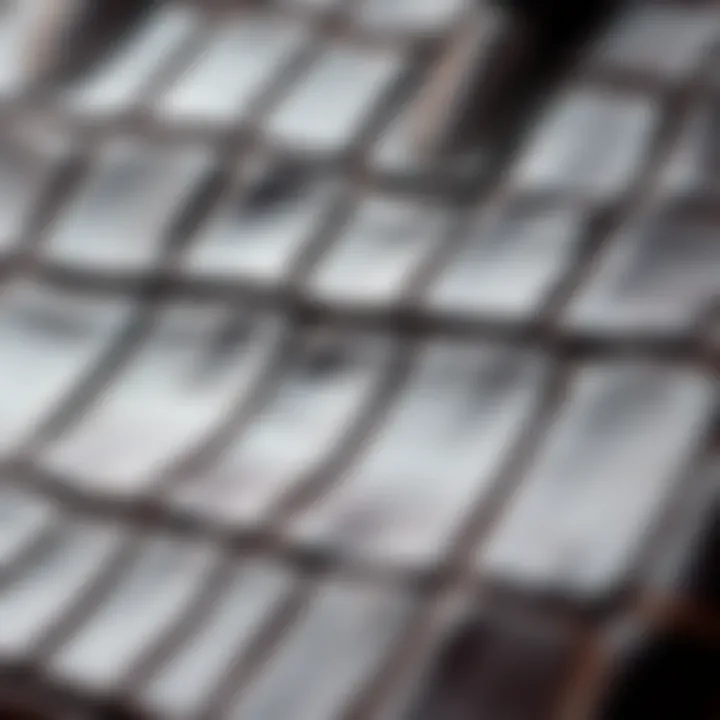 Close-up of crocodile texture on a luxury bag