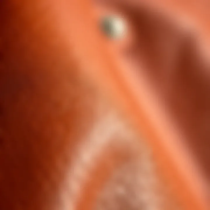 Quality Leather Fabric Texture Close-up of high-quality leather fabric texture