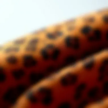 Close-up of unique textures of leopard print material