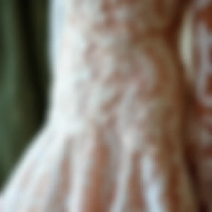 Luxurious gown adorned with delicate lace details