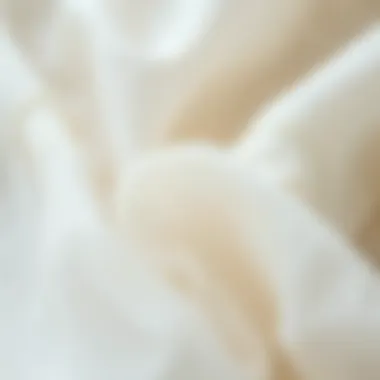 Close-up of muslin fabric showcasing its texture and intricate patterns