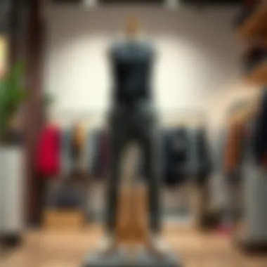 Stylish jogger pants on a mannequin in a boutique setting