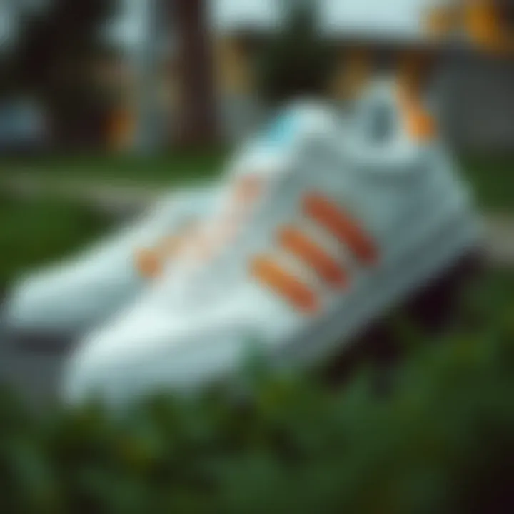 Sneaker Markalarının Dünya İçi ve Dışında Yeri Summary