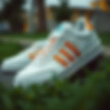 Sneaker Markalarının Dünya İçi ve Dışında Yeri Summary Sneaker Markalarının Dünya İçi ve Dışında Yeri Summary