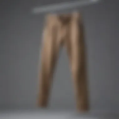 Elevating Casual Wear Stylish athletic fabric trousers on a hanger
