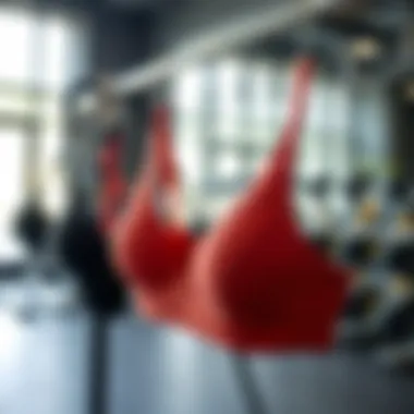 Stylish sports bras displayed in a modern fitness studio
