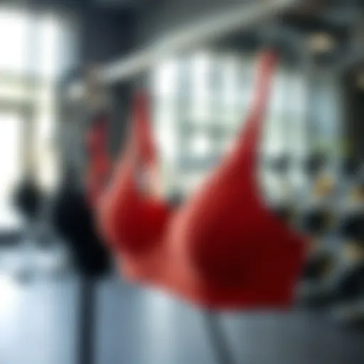 Stylish sports bras displayed in a modern fitness studio