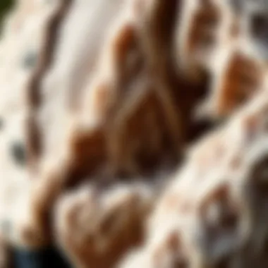 Close-up of intricate details on a stylish feathered cardigan.