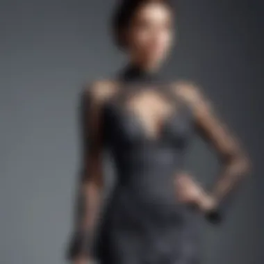 Chic Lace Detailed Evening Dress Chic long dress featuring intricate lace detailing
